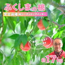 【ふるさと納税】No.2897【限定50箱】ふくしまのもも　早生品種 約1.7kg【2025年発送】
