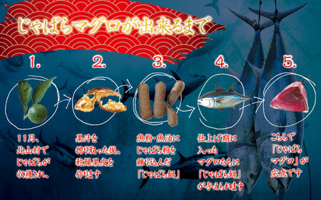 本マグロ（養殖）トロ＆赤身セット 1350g（養殖） まぐろ【nks111】