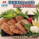 【ふるさと納税】 じゃこ天 計40枚 10枚 × 4 パック 小林フーズ 宇和島天 すり身 冷蔵 プレゼント ギフト 惣菜 練り物 練物 さつま揚げ 蒲鉾 かまぼこ じゃこカツ フライ おでん 具 出汁 小分け 郷土料理 酒 おつまみ 肴 魚肉加工品 特産品 国産 愛媛 宇和島 C012-070001