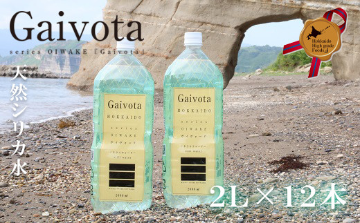 ＜Gaivota　2箱（2L×6本/箱）＞北のハイグレード食品 天然シリカ水  ミネラルウォーター  軟水 北海道産 北海道 乙部町 天然水 美容 ケイ素 無添加 シリカ ガイヴォータ 美肌 ミネラル 口当たり まろやか 備蓄 災害用 非常用