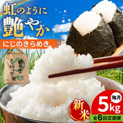 ふるさと納税 糸島市 【全6回定期便】 にじのきらめき 白米 5kg [AGR016]