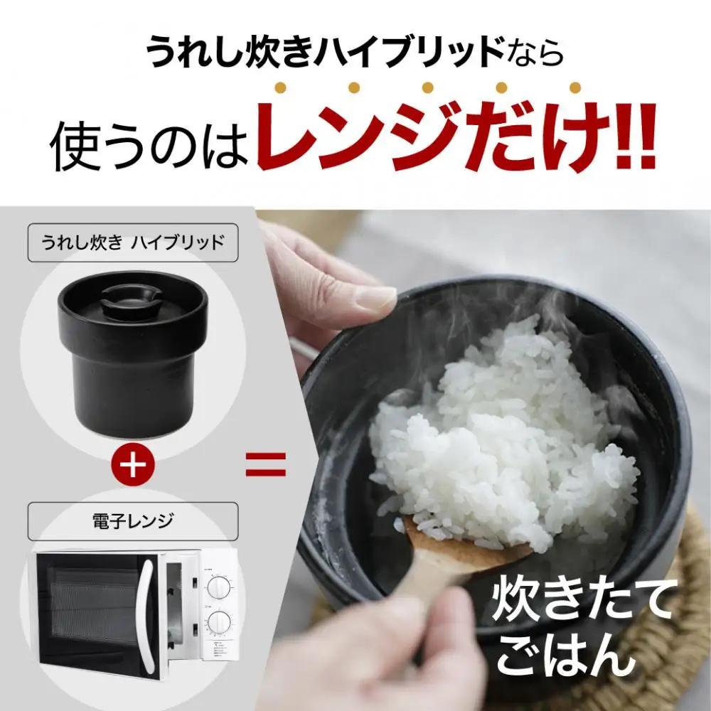 IWANO うれし炊き ハイブリッド