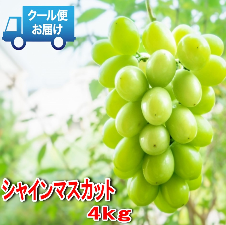 
            ＜2025年発送＞安心のクール便発送　収穫当日に産地直送　シャインマスカット 4kg (6～8房) 179-003
          