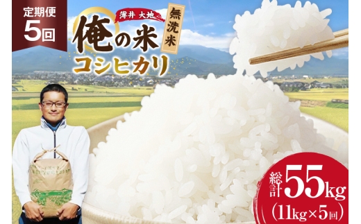 【俺の米】 米 定期便 5回 令和8年 コシヒカリ 無洗米 11kg 計 55kg [薄井 大地 長野県 池田町 48110944] お米 おこめ こめ コメ 白米 ご飯 ごはん 定期 5ヶ月  おにぎり こしひかり 美味しい もっちり 甘い 農家 直送 10キロ 50キロ 以上 令和8年産 先行予約 新米