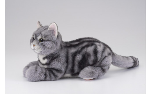 川崎市のロボットメーカーが作る、シニア向けペットの代理ロボット！なでなでねこちゃんEXシリーズ　（アメショー）