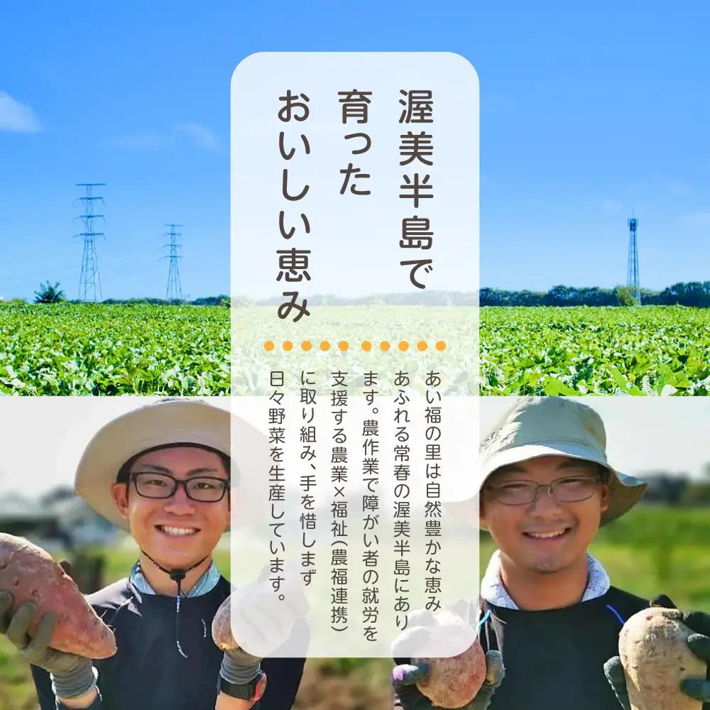 本格芋焼酎あいふく 一升瓶 1.8L 焼酎
