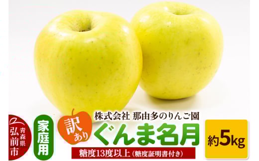 りんご【訳あり】家庭用 ぐんま名月 約5kg 糖度13度以上（糖度証明書付）