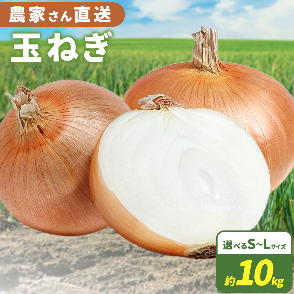 【ふるさと納税】農家さん直送！ 玉ねぎ 約 10kg 選べる サイズ Sサイズ Mサイズ Lサイズ 《4月中旬-8月上旬頃出荷》和歌山県 紀の川市 野菜 たまねぎ