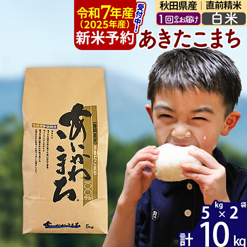 【ふるさと納税】※令和7年産 新米予約※秋田県産 あきたこまち 10kg【白米】(5kg小分け袋) 【1回のみお届け】2025産 お米 藤岡農産