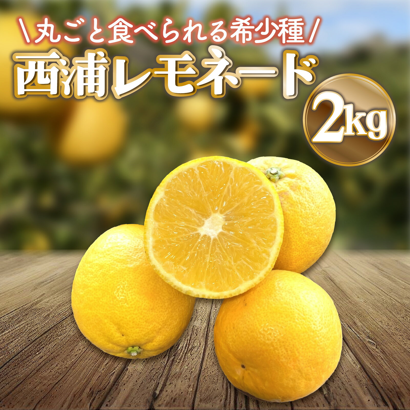 【ふるさと納税】 レモネード 約 2kg 産地直送 檸檬 柑橘 レモン フルーツ 果物 蜜柑 ご家庭用 贈答用 ギフト 沼津 静岡 みかん畑 リブロ
