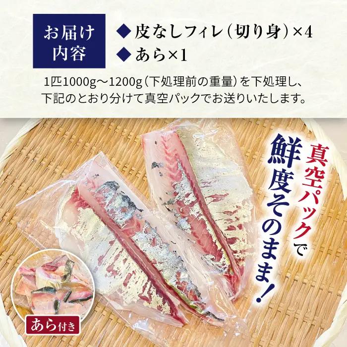 土日お届け シマアジ 堪能5点 [CBW006] アジ