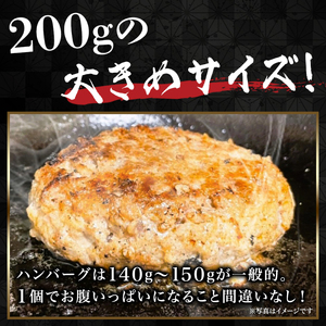 【飛騨牛】生ハンバーグ（200g×4枚）【4月発送分】