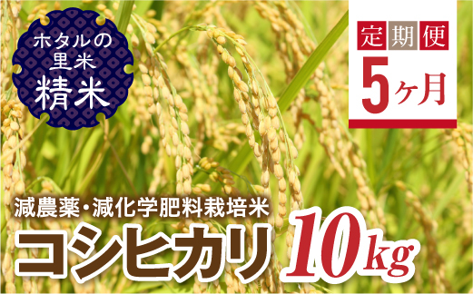 
                   ＜定期便5ヶ月＞ 令和8年産米【ホタルの里米】環境に配慮し農薬を減らした栽培米 コシヒカリ精米10kg  F4D-2295
                