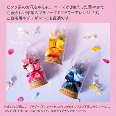 ふるさと納税 佐倉市 プリザーブドフラワーローズドーム ピンク系 お祝いやお誕生日におすすめ |  | 01