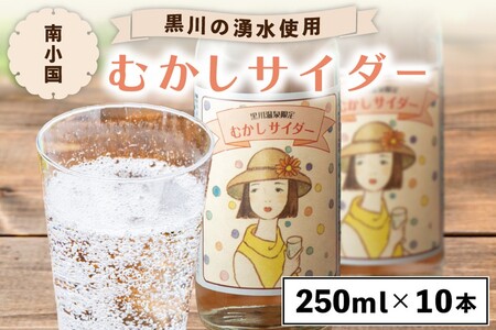 黒川温泉の湧水を使用 むかしサイダー 10本セット 250ml 10本 湧水 黒川温泉 サイダー 地サイダー ご当地 瓶 レトロ 飲料 ジュース セット ギフト 贈答用 お中元 後藤酒店 熊本 南小国町 送料無料 [B0-0103]