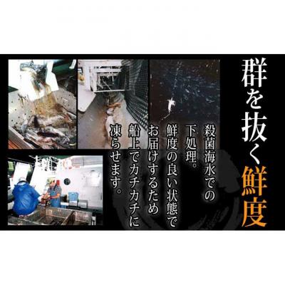 ふるさと納税 新潟市 ヤマキ いかのふっくら焼(130g×4袋)[54070017] |  | 01