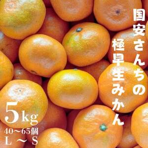 【創業85年 親子4代 愛媛みかん 一筋】愛媛八幡浜産 極早生みかん 5kg【C20-43】【1594908】