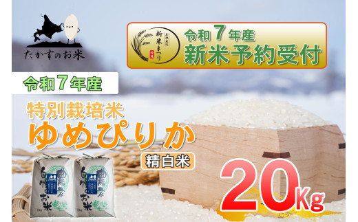 【令和7年産】 ゆめぴりか (精白米) 北海道 米 を代表する人気の品種 【2025年10月上旬発送開始】 10kg×2袋 20kg コメ 白米 北海道 鷹栖町 たかすのお米 