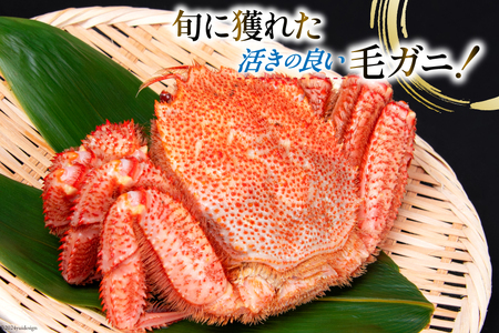 【期間限定発送】かに 三陸産浜ゆで毛ガニ 約500g×2 計1kg [村東商店 宮城県 気仙沼市 20564161] 魚介類 海鮮 三陸産 三陸 カニ 蟹 毛ガニ 毛がに 毛蟹 ボイル 浜茹で 浜ゆで