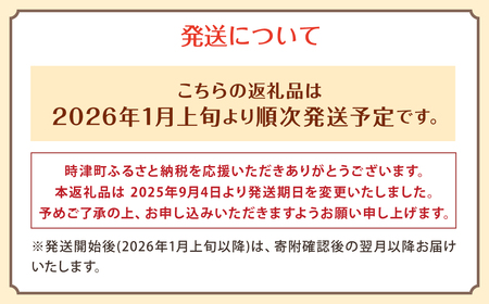 【定期便 6ヶ月コース】野菜のプロ40年が届けるこだわり野菜セット！ 7～8品目 詰め合わせ