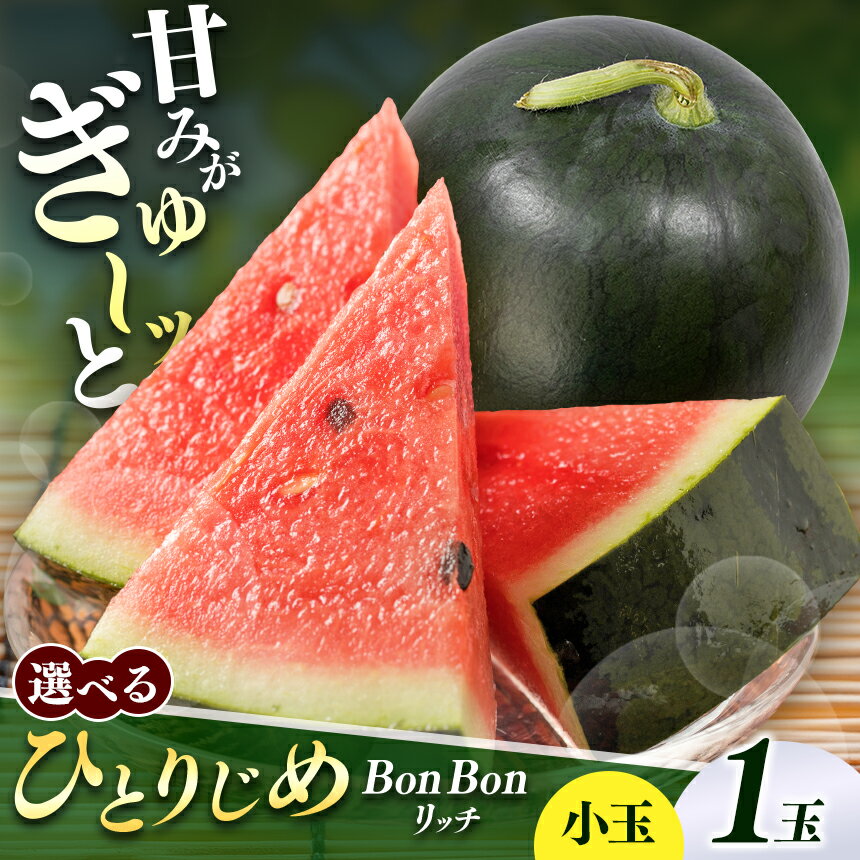 【ふるさと納税】【選べるサイズ】松本市 波田産 小玉すいか ひとりじめBonBonリッチ 3L or 4L or 5L or 5L特選プレミアム │ すいか スイカ ボンボンリッチ 野菜 夏 果物 新鮮 自然 甘い 美味しい 波田 長野県 信州 松本 ふるさと納税