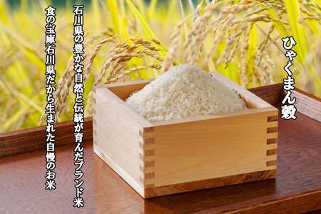 【期間限定発送】 米 令和7年 ひゃくまん穀 精米 5kg [中橋商事 石川県 宝達志水町 38601147]