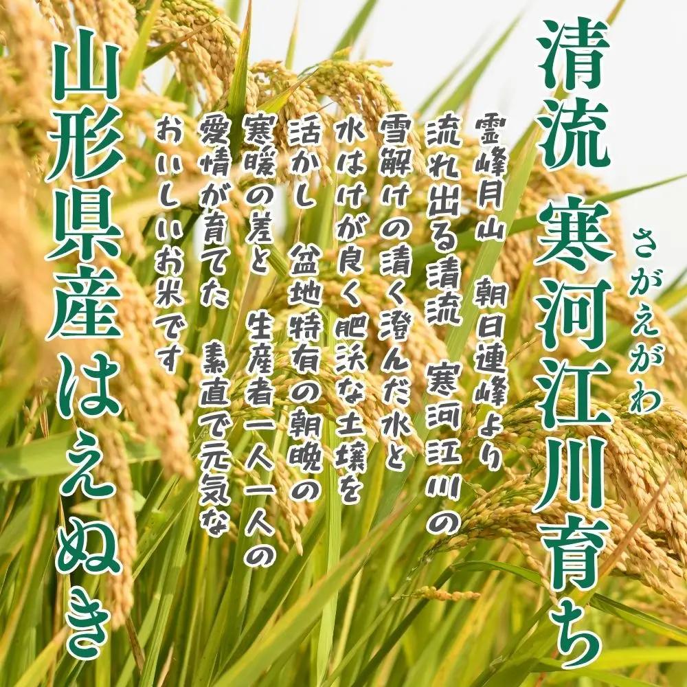 令和8年産 新米 はえぬき 20kg (5kg×4）清流寒河江川育ち 山形県産 米 精米 お米 山形県 送料無料