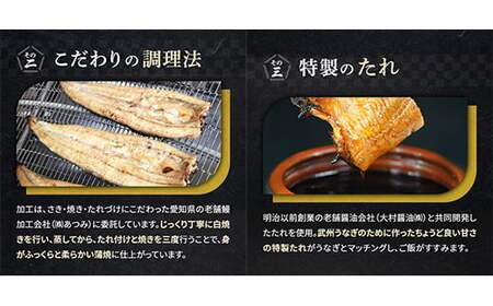 うなぎ 国産 3尾 お手頃サイズ 約300g | うなぎ 国産