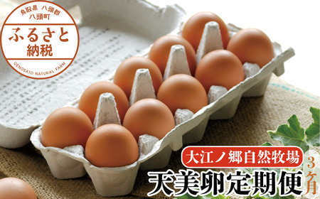 Y988 【3か月定期便】平飼い天美卵30個〈大江ノ郷自然牧場より直送〉