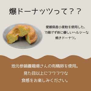 爆ドーナツ堪能ギフトセット プレーン