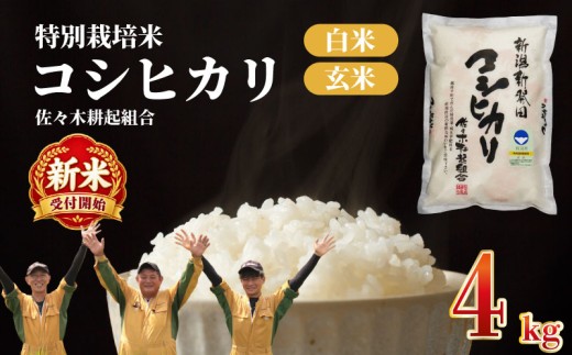 【R8年産新米】米 コシヒカリ 特別栽培米 4kg 令和8年産 8年産 新米 新潟県産 お米 白米 ご飯 精米 玄米 おにぎり 弁当 個包装 小分け プレゼント ギフト 贈答 のし 佐々木耕起 佐々木こうき 佐々木耕起組合 新潟県 新発田市 ssk002