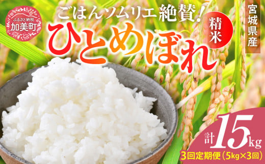 【3回定期便】新米 精米 令和6年産 宮城県産ひとめぼれ 計15kg (5kg×3回) [菅原商店 宮城県 加美町 ]  | sg00001-r6-5kg-3