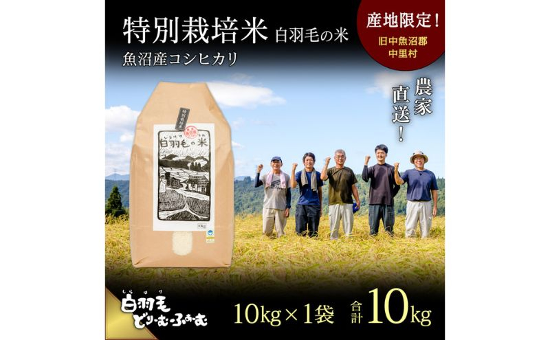 
            【通年受付】≪令和6年産≫　農家直送！魚沼産コシヒカリ特別栽培「白羽毛の米」精米10kg
          