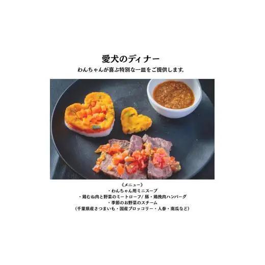 愛犬と癒しの旅　ナガラミリゾートSOSA ご宿泊利用券 12万円分 ／ 宿泊 宿泊券 リゾート ヴィラ ホテル 犬 ペット ドッグラン ドッグマッサージ 温泉 サウナ プール 旅行 リゾート旅