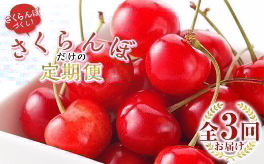 【2026年発送先行予約】さくらんぼだけの定期便 全3回 FSY-1000