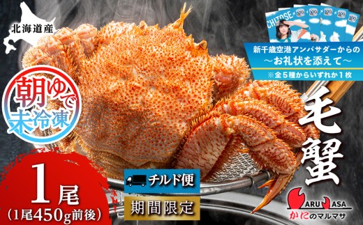 【千歳市開港100年記念】北海道産【朝ゆで】 毛ガニ （450g前後）1尾 期間限定！≪ かにのマルマサ ≫ かに 毛がに カニ 千歳 北海道 海鮮