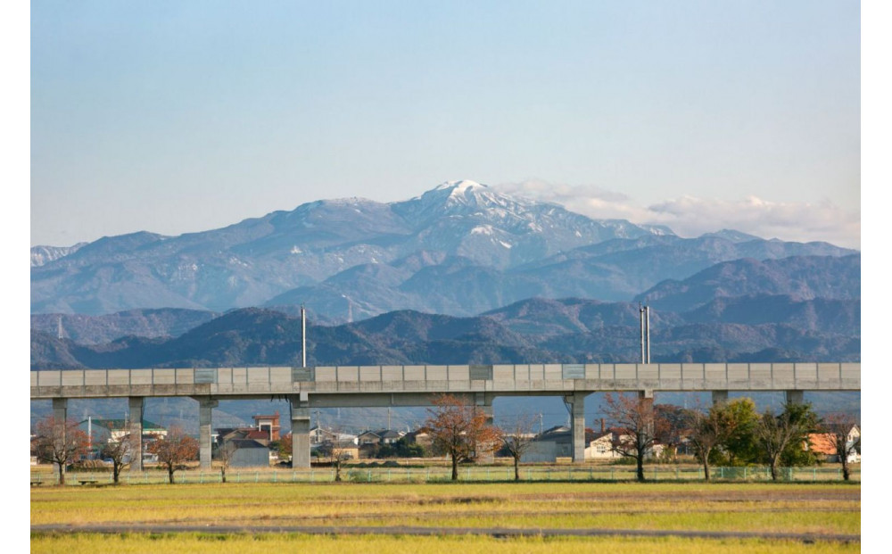 北本農場のお米令和8年度産コシヒカリ精米10kg有機肥料(海ミネラル肥料)で育てたお米