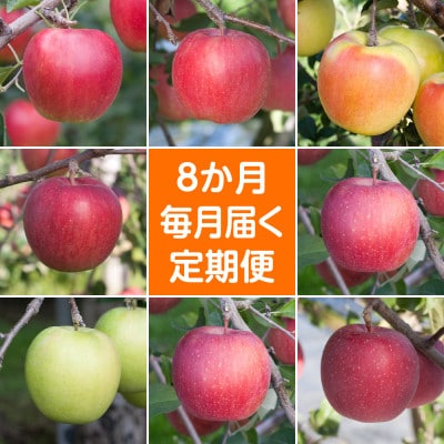 【発送月固定定期便】〈2025年9月より順次発送〉青森県産りんご約3kg全8回【配送不可地域：離島・沖縄県】