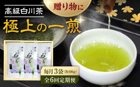 【6回定期便】本格 高級茶セット 100g×3袋 化粧箱入り お茶 煎茶 白川茶 茶葉 ギフト 白川町 / 菊之園[AWAG010]