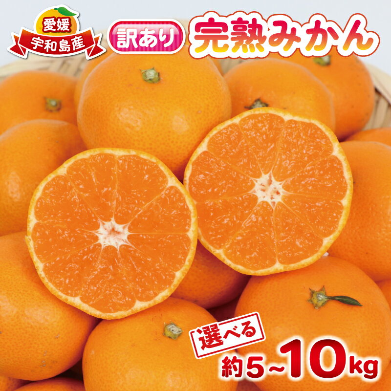 【ふるさと納税】 完熟みかん 訳あり 完熟 みかん 早生みかん選べる 内容量 5kg ~10kg 杉本屋 先行予約 完熟 温州みかん みかん ミカン mikan 早生 温州 蜜柑 みかん 果物 くだもの フルーツ 愛媛みかん 愛媛ミカン 宇和島みかん 柑橘 産地直送 数量限定 国産 愛媛 宇和島