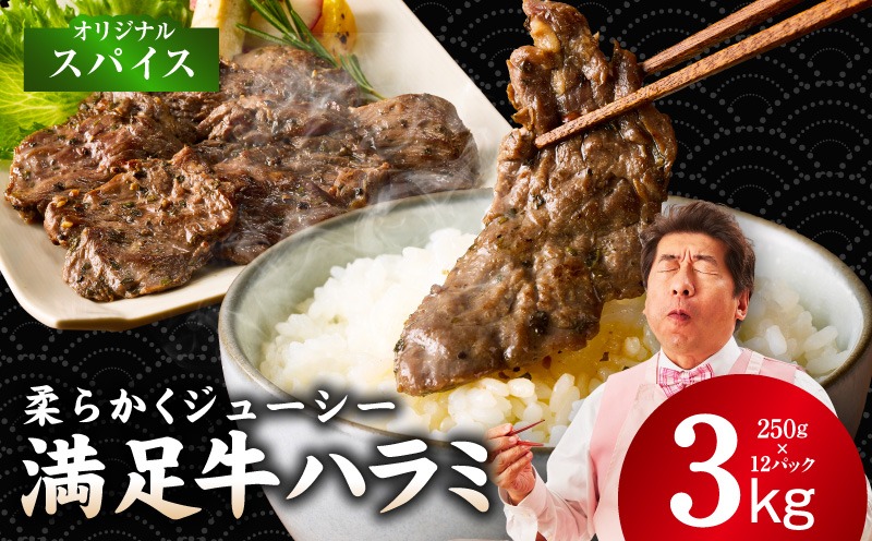 G5289 【満足牛ハラミ】オリジナルスパイス仕込み 合計3kg 【スピード発送 味付け ハラミ 小分け 焼くだけ 簡単調理 BBQ 牛肉 250g×12P 普段使い】