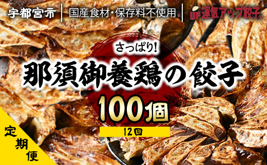 
『定期便』宇都宮餃子　那須御養鶏の餃子100個　保存料不使用　全12回【配送不可地域：離島】
