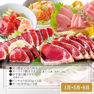 ふるさと納税 枕崎市 定期便(2回配送)一本釣りかつお・まぐろ三昧　(さつまあげも) DD-6005 |  | 01