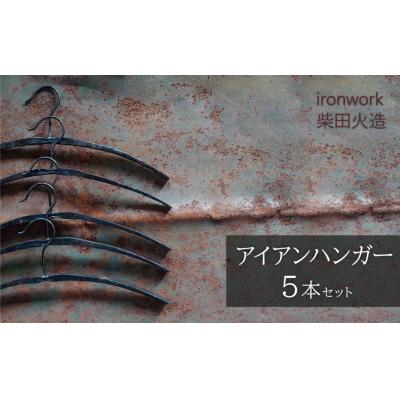 ふるさと納税 碧南市 アイアンハンガー【5本セット】 H182-011