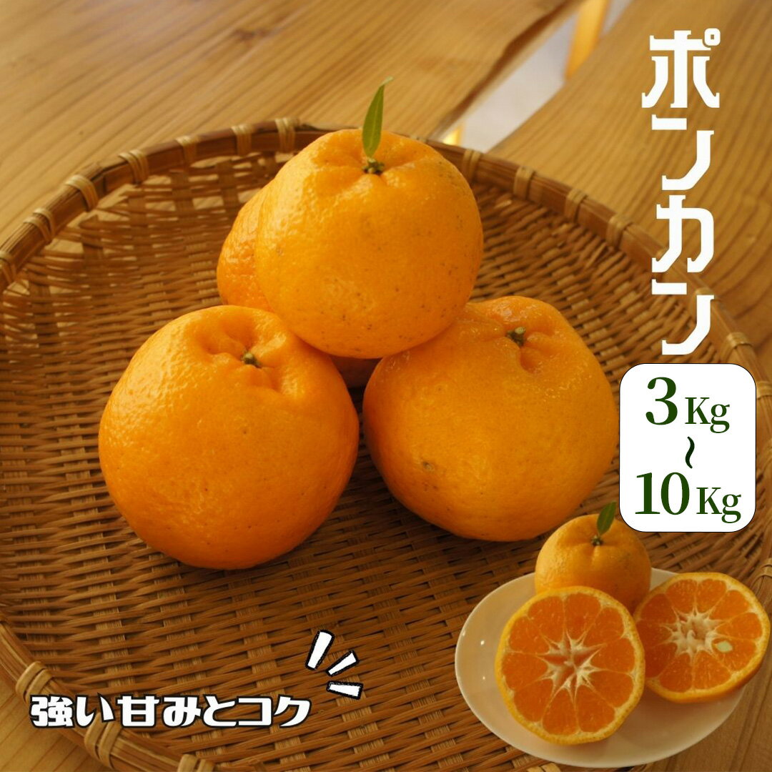 【ふるさと納税】【2026年出荷分】湯の花 ポンカン3kg箱セット ポンカン ミカン フルーツ 甘い 静岡 南伊豆 在庫限り 23年12月下旬～24年1月頃配送 道の駅 直売所