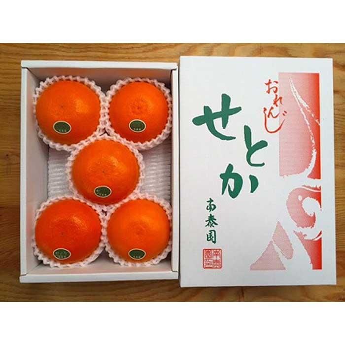 【ふるさと納税】ハーフ 化粧箱 柑橘の大トロ ハウス せとか 厳選 5玉入 南泰園【2024年2月上旬～発送】