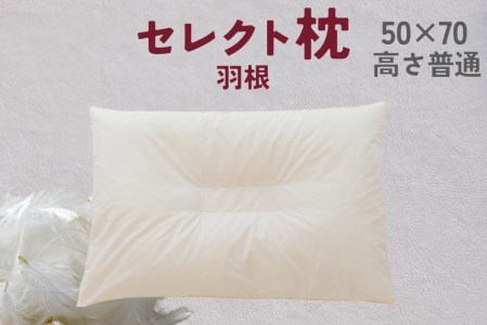 セレクト枕 羽根 中央くぼみタイプ 普通 ゆったりワイド【27072130】