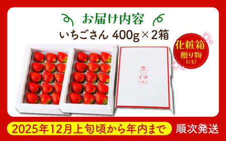 【12月発送】王様のいちごいちごさん400g×2箱むらおか農園 HAF001 いちごいちごいちごいちごいちご