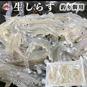 岬だよりの 生しらす釣り餌用 250g×1袋 [配送不可地域：離島] ( 釣り 餌 ﾌｨｯｼﾝｸﾞ ｴｻ 海 海釣り 魚 ﾌｨｯｼﾝｸﾞ 愛知県 釣り 餌 南知多町 ﾐﾅﾐﾁﾀ 餌 ﾌｨｯｼﾝｸﾞ 釣り さかな ﾌｨｯｼﾝｸﾞ 釣り 餌 魚 釣り ﾌｨｯｼﾝｸﾞ ｴｻ つり ｴｻ ﾌｨｯｼﾝｸﾞ 釣り さかな 釣り 餌 )