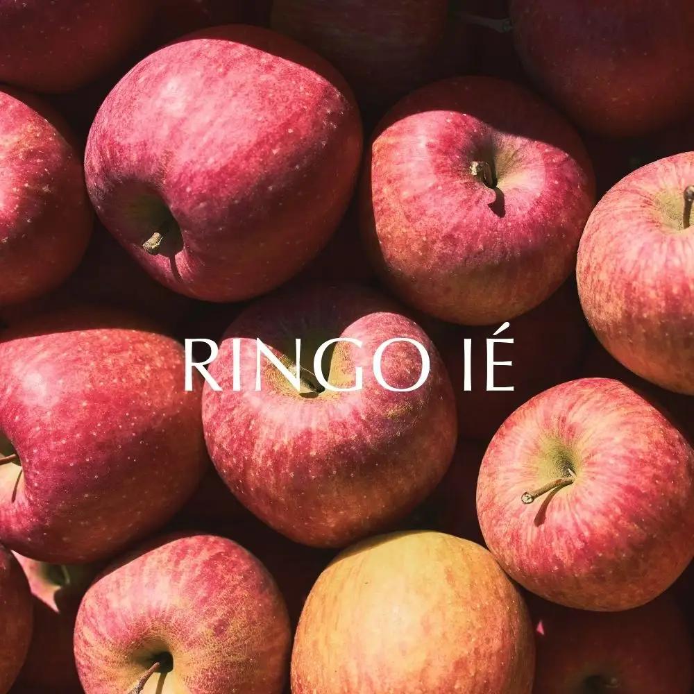 RINGO IE Apple Juice 500ml 2本 セット ( リンゴイエ りんご ジュース 山形県産 果汁 100% 無添加 ストレート 500ml ふじ ・ シナノゴールド 果汁 フルーツ